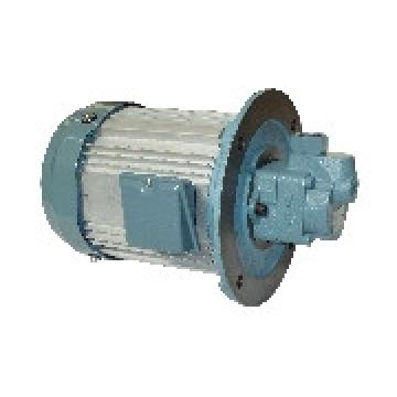 HBPG-KD4-TPC22-**R-A TOYOOKI HBPG Gear pump