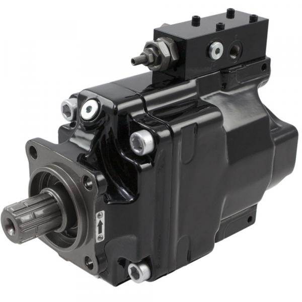Original T6 series Dension Vane T6DP-014-3R00 pump #1 image