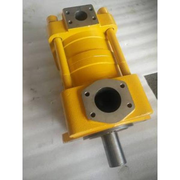 SUMITOMO QT4123 Series Double Gear Pump QT4123-50-4F #1 image