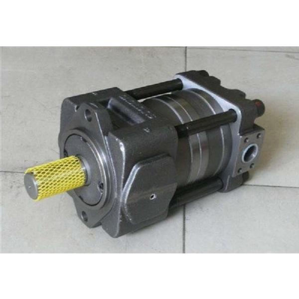 SUMITOMO CQTM52-40FV+3.7-4-T-M-S3107-A CQ Series Gear Pump #1 image