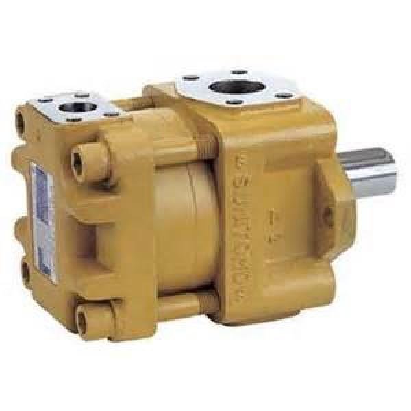 SUMITOMO C-ASD3T-03-D24-21 CQ Series Gear Pump #1 image