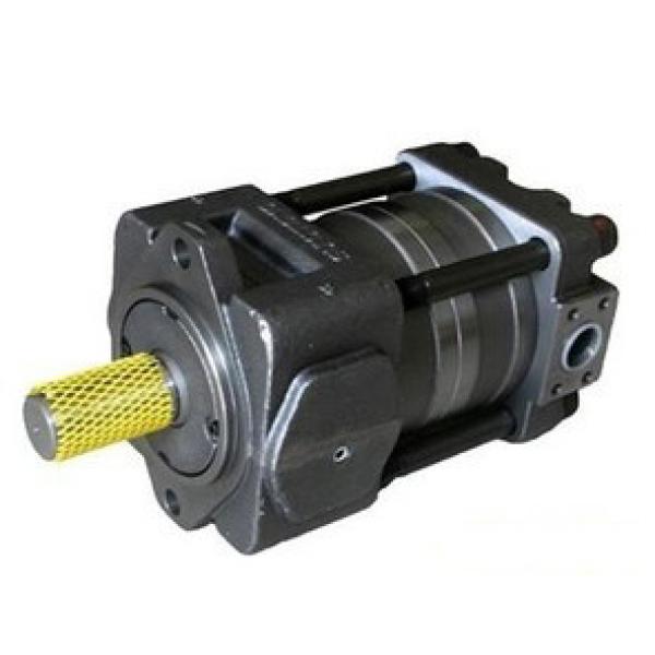 SUMITOMO SPRG-03-250-13 SD Series Gear Pump #1 image