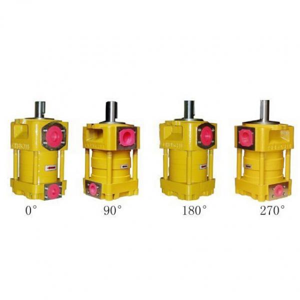 SUMITOMO CQTM52-40FV+3.7-4-T-M-1307-A CQ Series Gear Pump #1 image