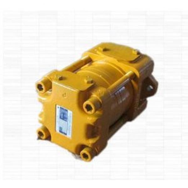 SUMITOMO CQT43-25FV-S1402-A CQ Series Gear Pump #1 image