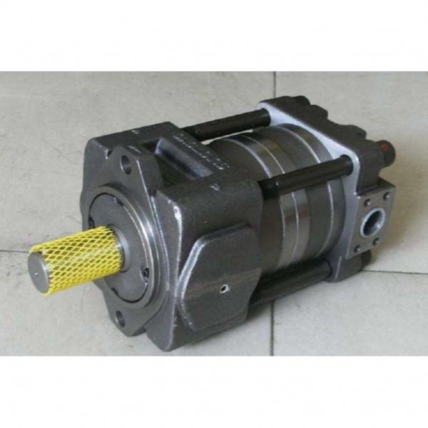 QT63-80-A SUMITOMO high pressure internal gear pump. #1 image